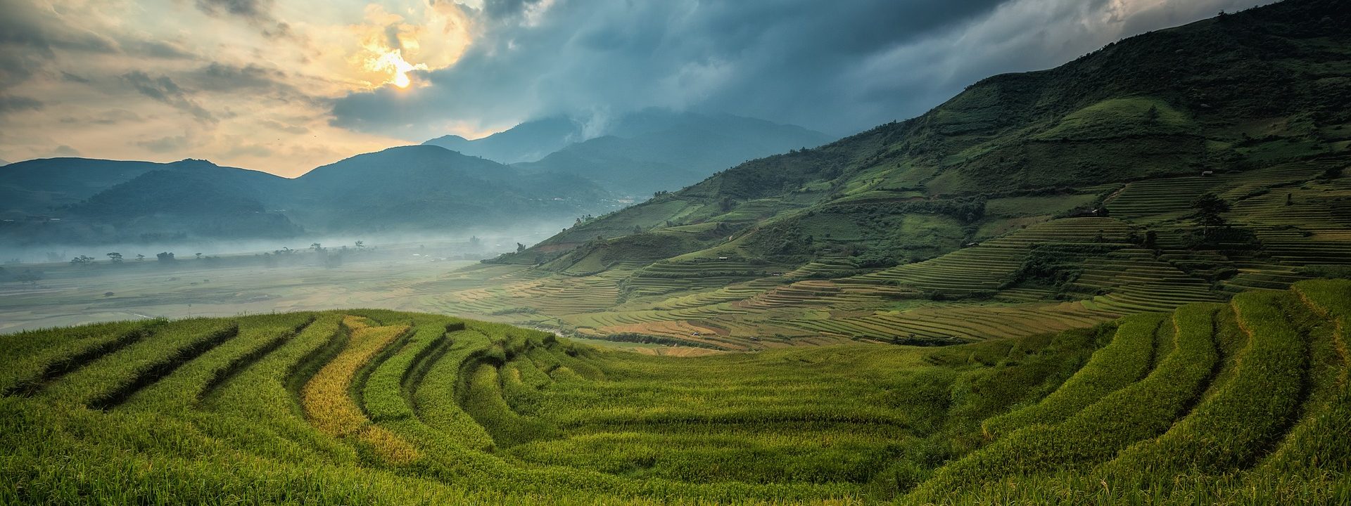 Felder in Asien