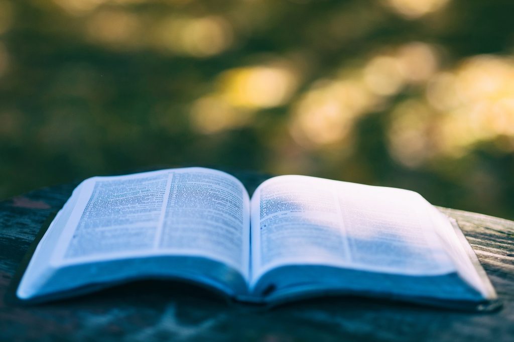 Offenes Buch © Pexels Ein offenes Buch liegt auf einem Holzstamm im Wald