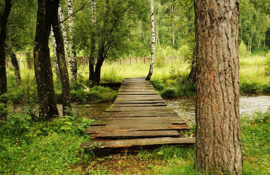 Brücke im Wald © Larisa-K