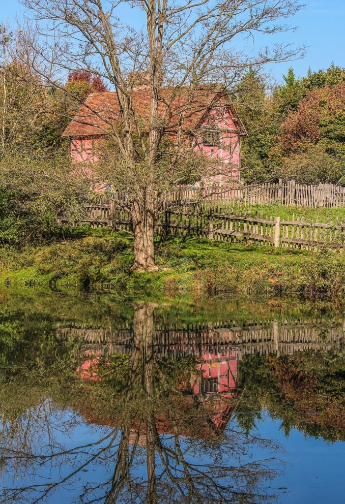 Fachwekhaus hinter Baum wird im Wasser gespiegelt