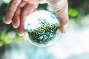 pexels-mac-mullins-2534493 Glaskugel mit Hand