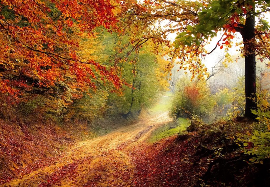 road-1072823_1920_PB_Valiphotos