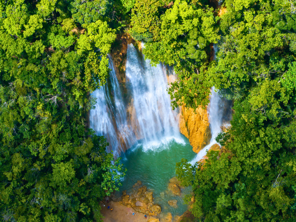 Cascada rodeada de una densa selva tropical en la República Dominicana.
